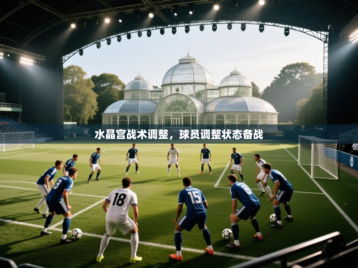 水晶宫战术调整，球员调整状态备战