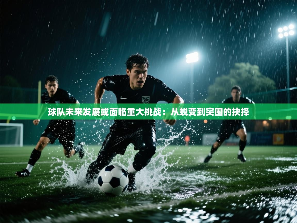球队未来发展或面临重大挑战：从蜕变到突围的抉择  第2张